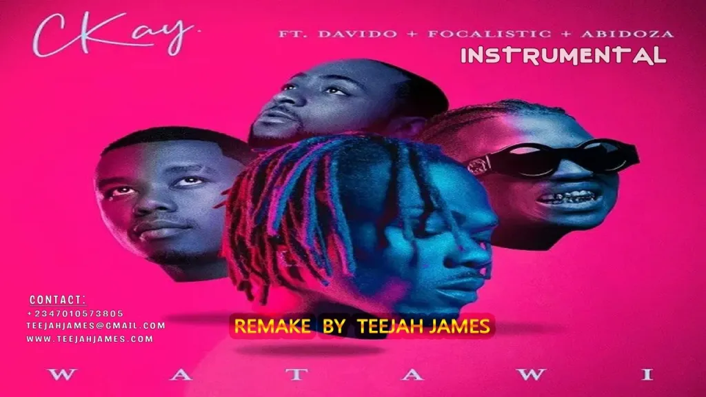 CKay Ft. Davido – Watawi (Instrumental)