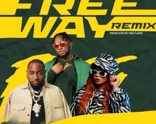 Tripsy, Lady Du, Davido & Nektunez – Freeway (Remix) ft. DJ Pee Raven