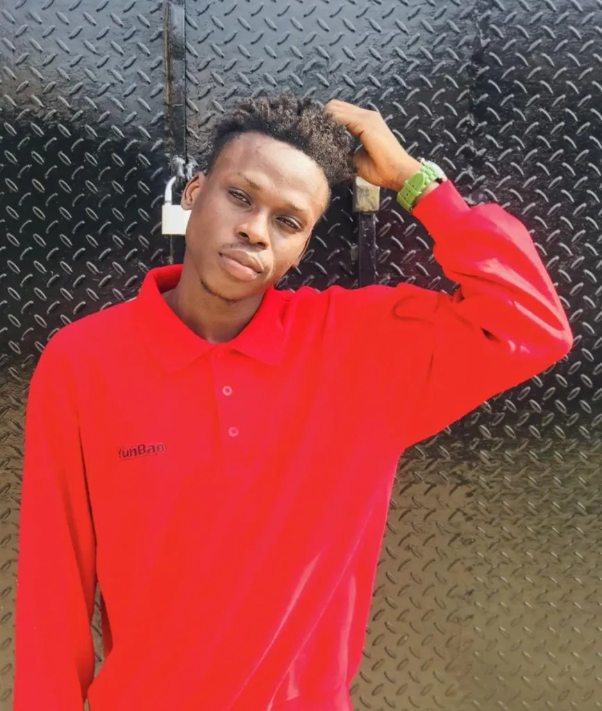 Fireboy DML – Girlfriend