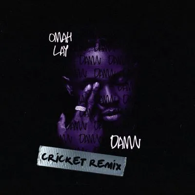 Omah Lay – Damn (Cricket Remix)