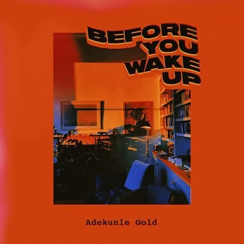 Adekunle Gold – Before You Wake Up