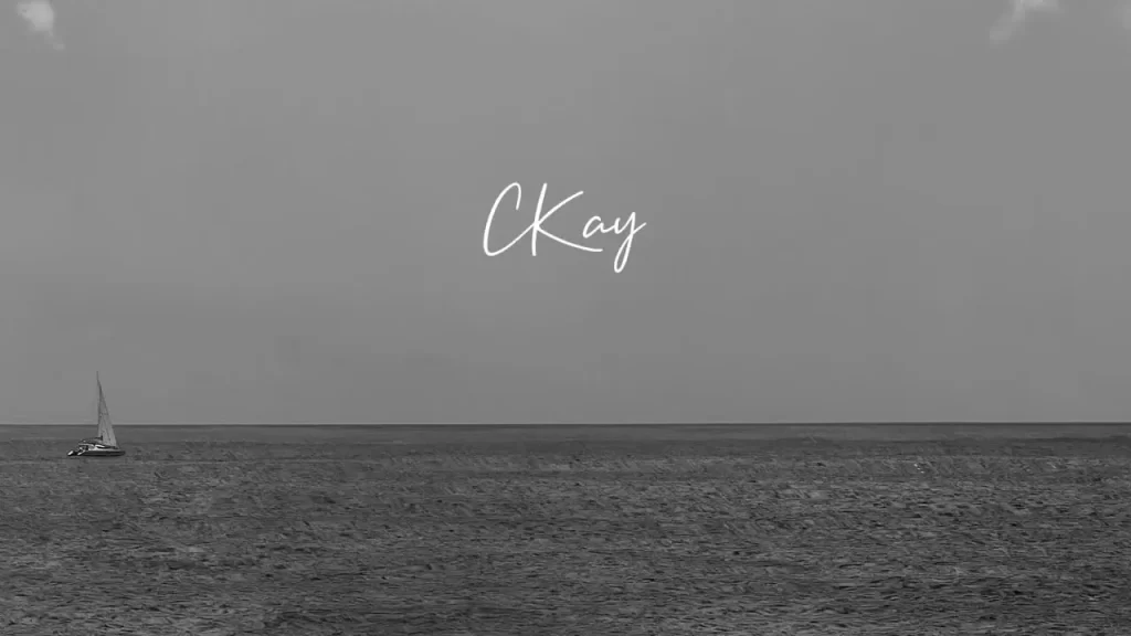 CKay – You (Instrumental)