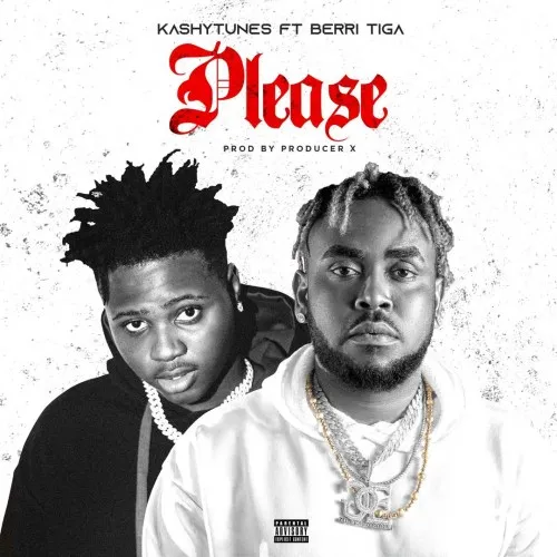 KashyTunes – Please Ft. Berri Tiga