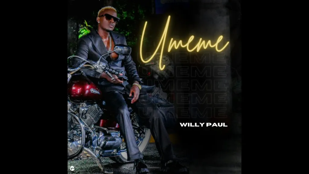 Willy Paul – Umeme