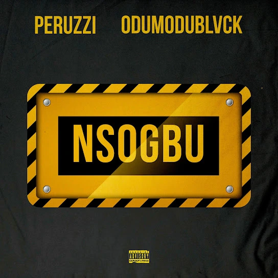 Peruzzi – Nsogbu Ft. Odumodublvck