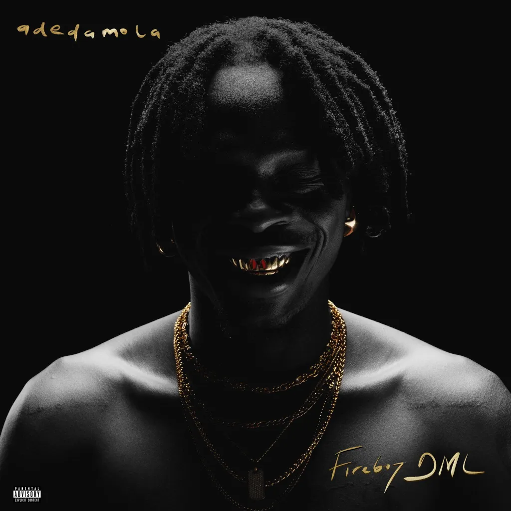 Fireboy-DML Adedamala Album