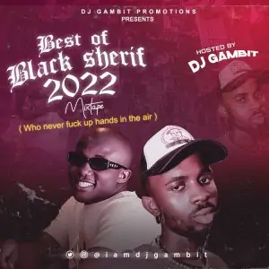 DJ Gambit – Best Of Black Sherif 2022 Mix