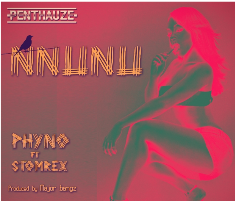 Phyno – Nnunu ft. Stormrex